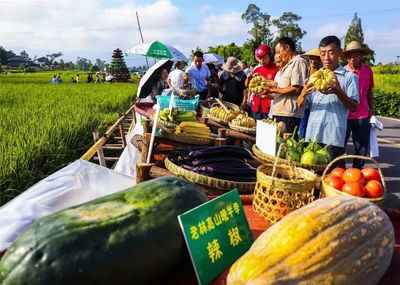 梁平风物进京记 柚香葛韵茶味浓，特色农产启新程
