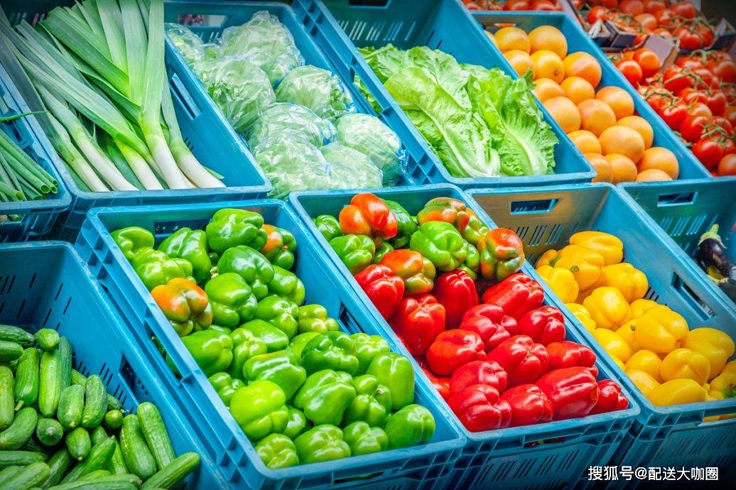 新鲜直达，安心每一餐——新旺发农副产品配送服务全解读