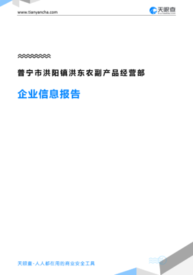 普宁市洪阳镇洪东农副产品经营部企业信息报告——基于天眼查数据